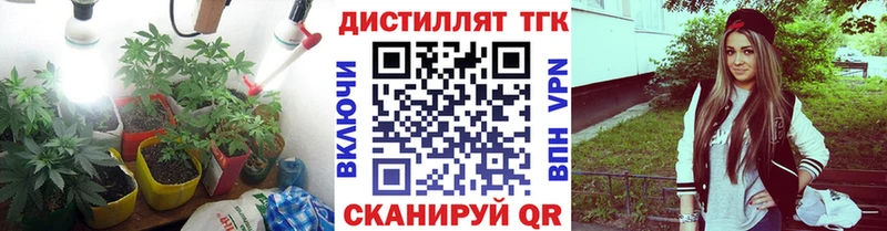 Купить закладки  Багратионовск  ТГК жижа 