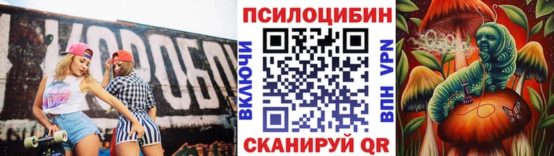 Купить закладки  Багратионовск  Галлюциногенные грибы Magic Shrooms 